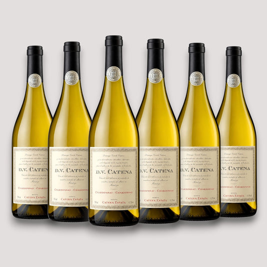 Kit 6 DV Catena Chardonnay 2022