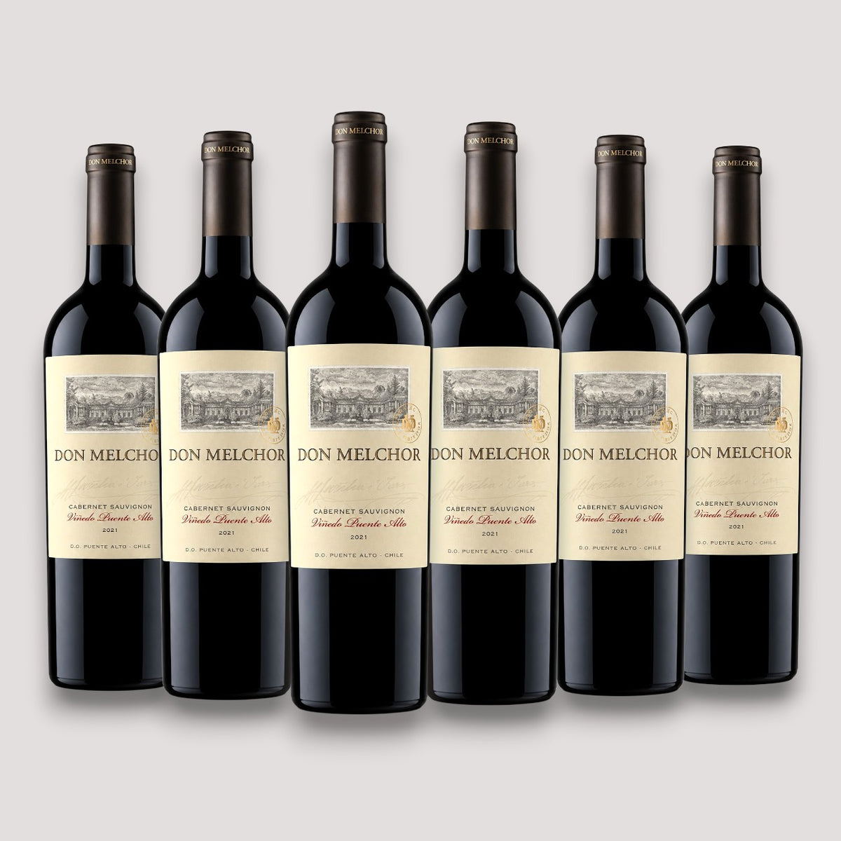 Kit 6 Don Melchor Cabernet Sauvignon 2021