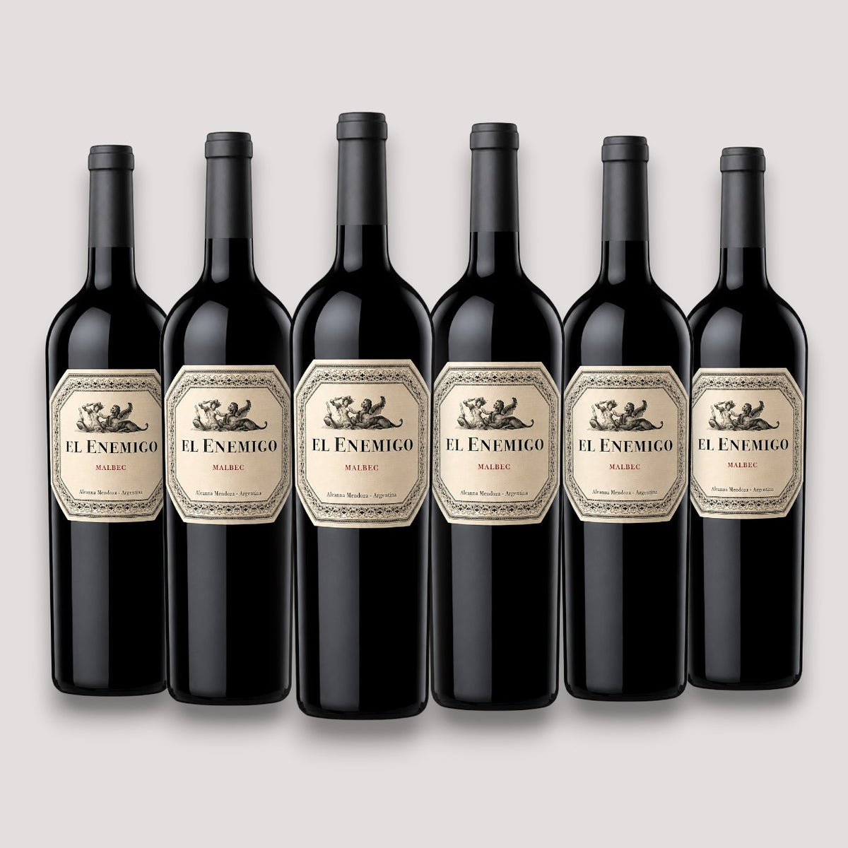 Kit 6 El Enemigo Malbec 2022