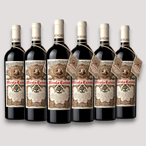 Kit 6 Nicola Catena Bonarda 2021