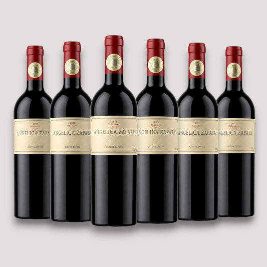 Kit 6 Angelica Zapata Malbec Alta 2021