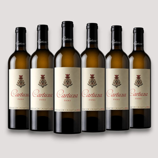 Kit 6 Cartuxa Évora Branco Colheita 2023