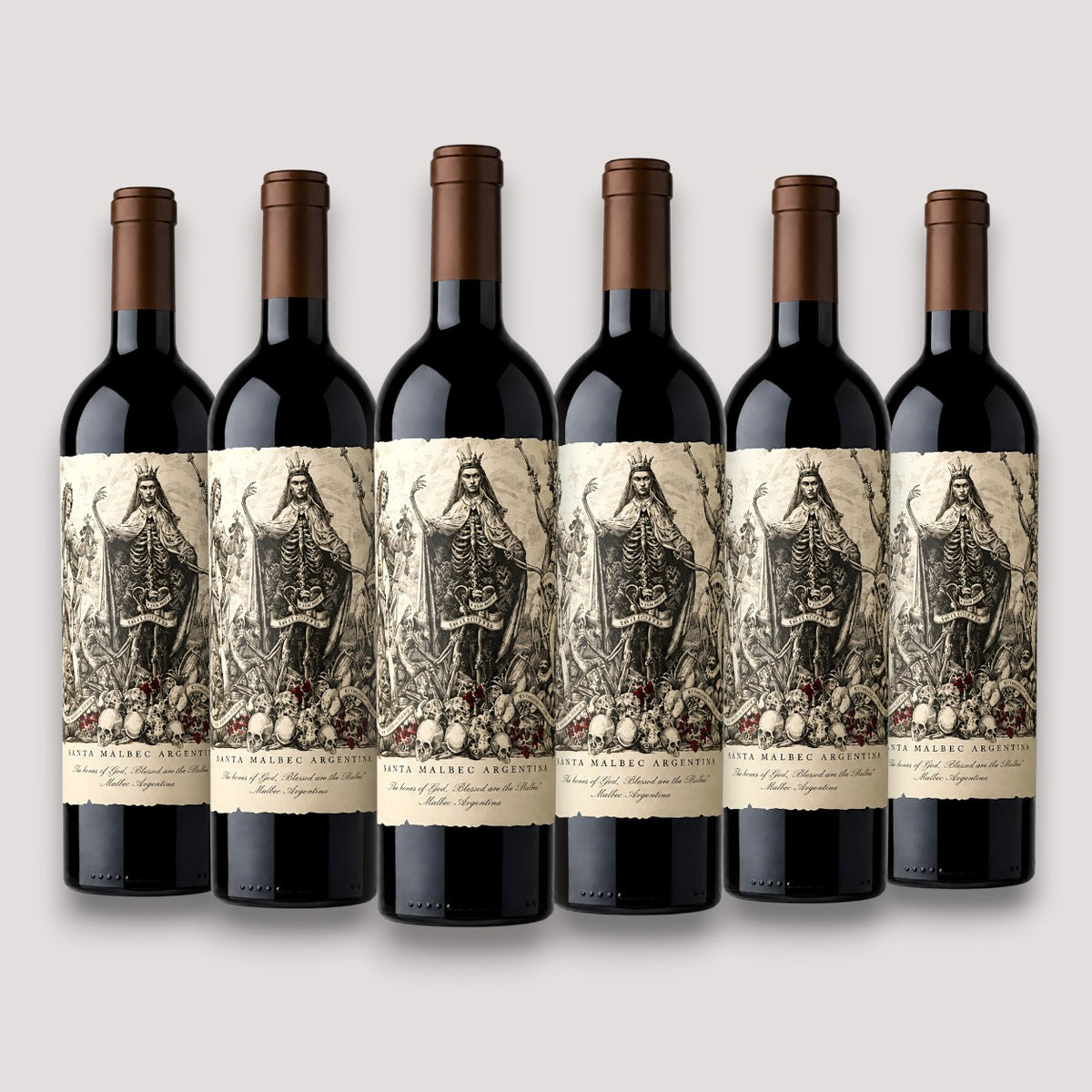 Kit 6 Catena Zapata Malbec Argentino 2021